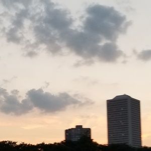 Meet your Posher, Leo